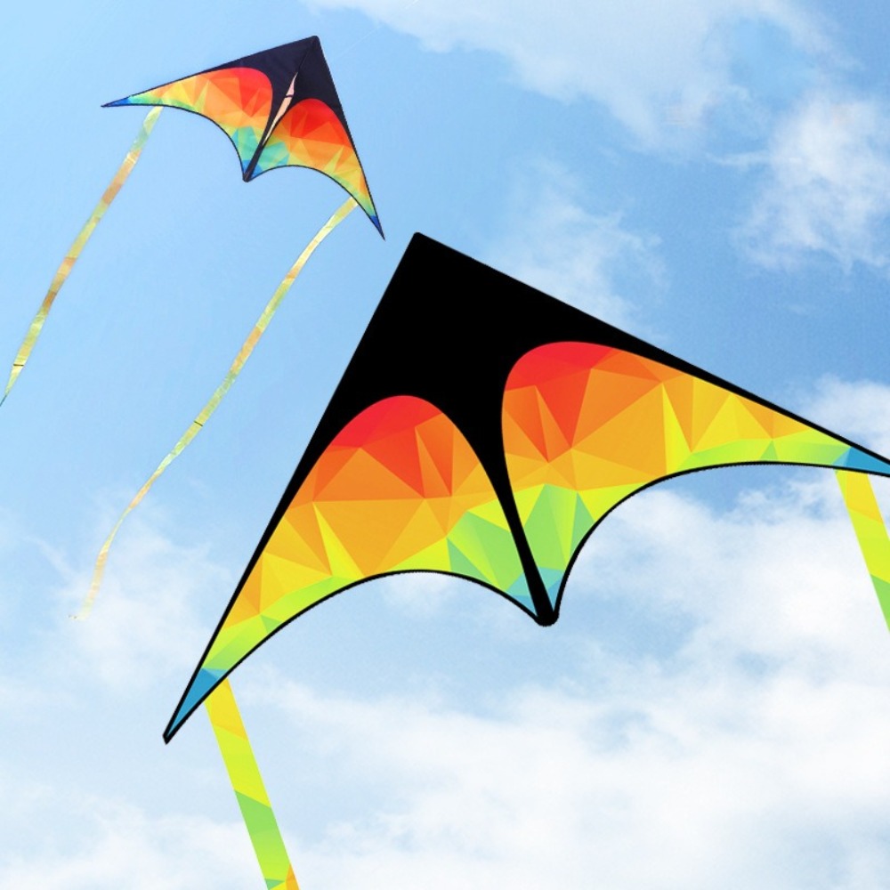 Kite Easy Fly Kids - Aquilone Delta grande a doppia coda