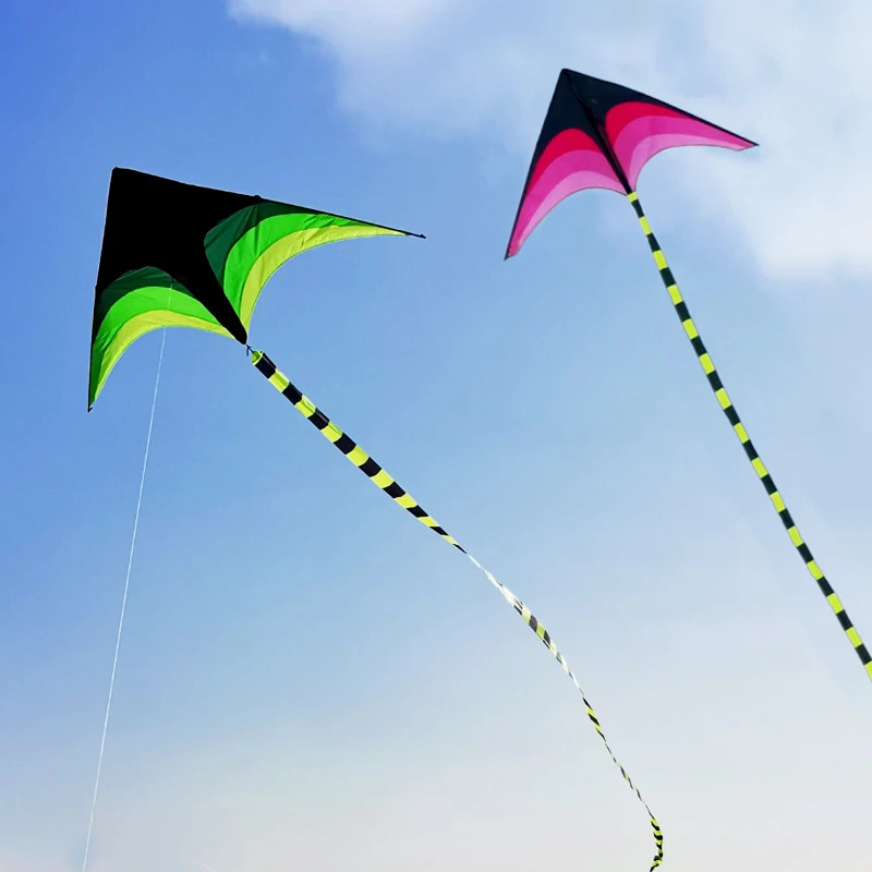 Adulti Facile da Volare Grande - Kite Easy Fly Kids recensione e prezzo