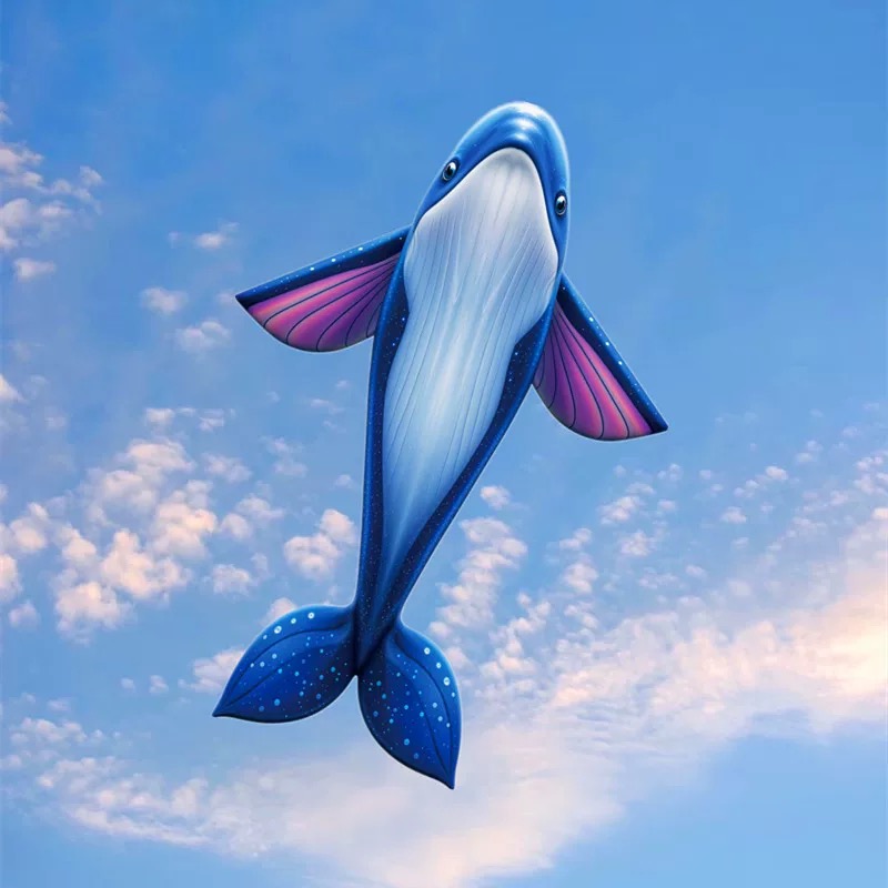 aquilone balena volante di spe - Kite Easy Fly Kids recensione e prezzo