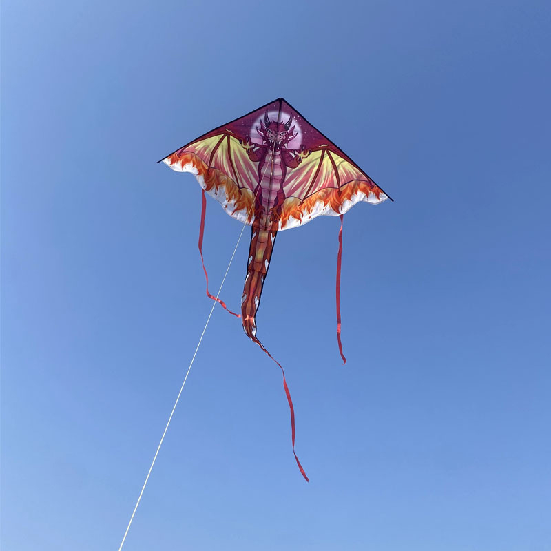 Grande aquilone drago per bamb - Kite Easy Fly Kids recensione e prezzo