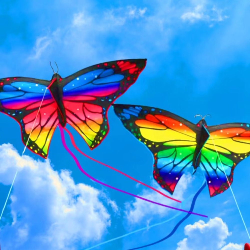 Facile da volare Aquilone a fa - Kite Easy Fly Kids recensione e prezzo