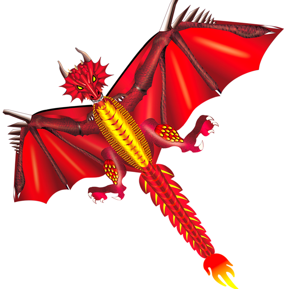 Nuovo Ghiaccio e del Drago di  - Kite Easy Fly Kids recensione e prezzo