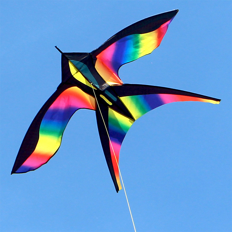 1.7m facile da volare colorato - Kite Easy Fly Kids recensione e prezzo