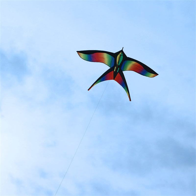 1.7m facile da volare colorato - Kite Easy Fly Kids recensione e prezzo