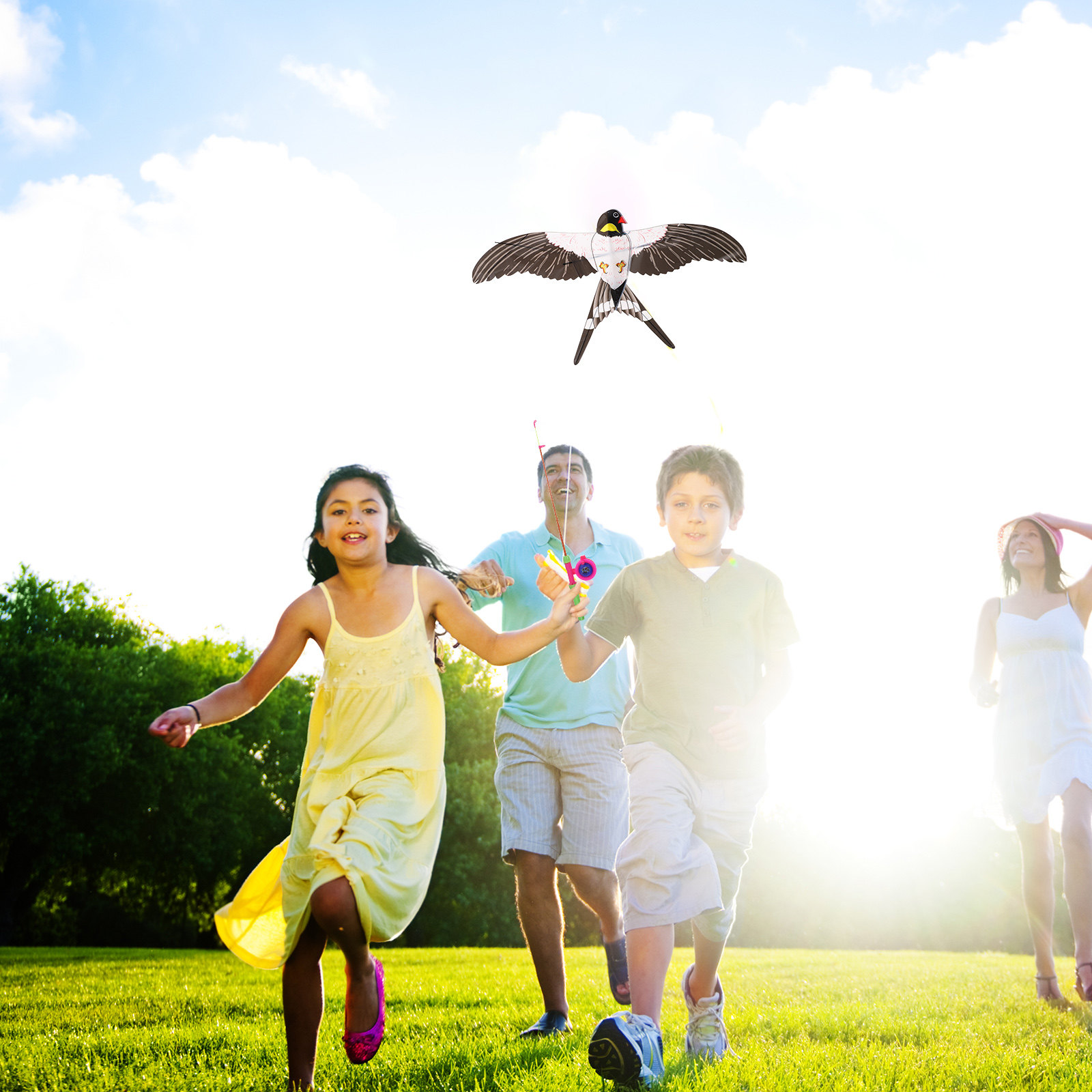 Aquilone a forma di uccello fa - Kite Easy Fly Kids recensione e prezzo