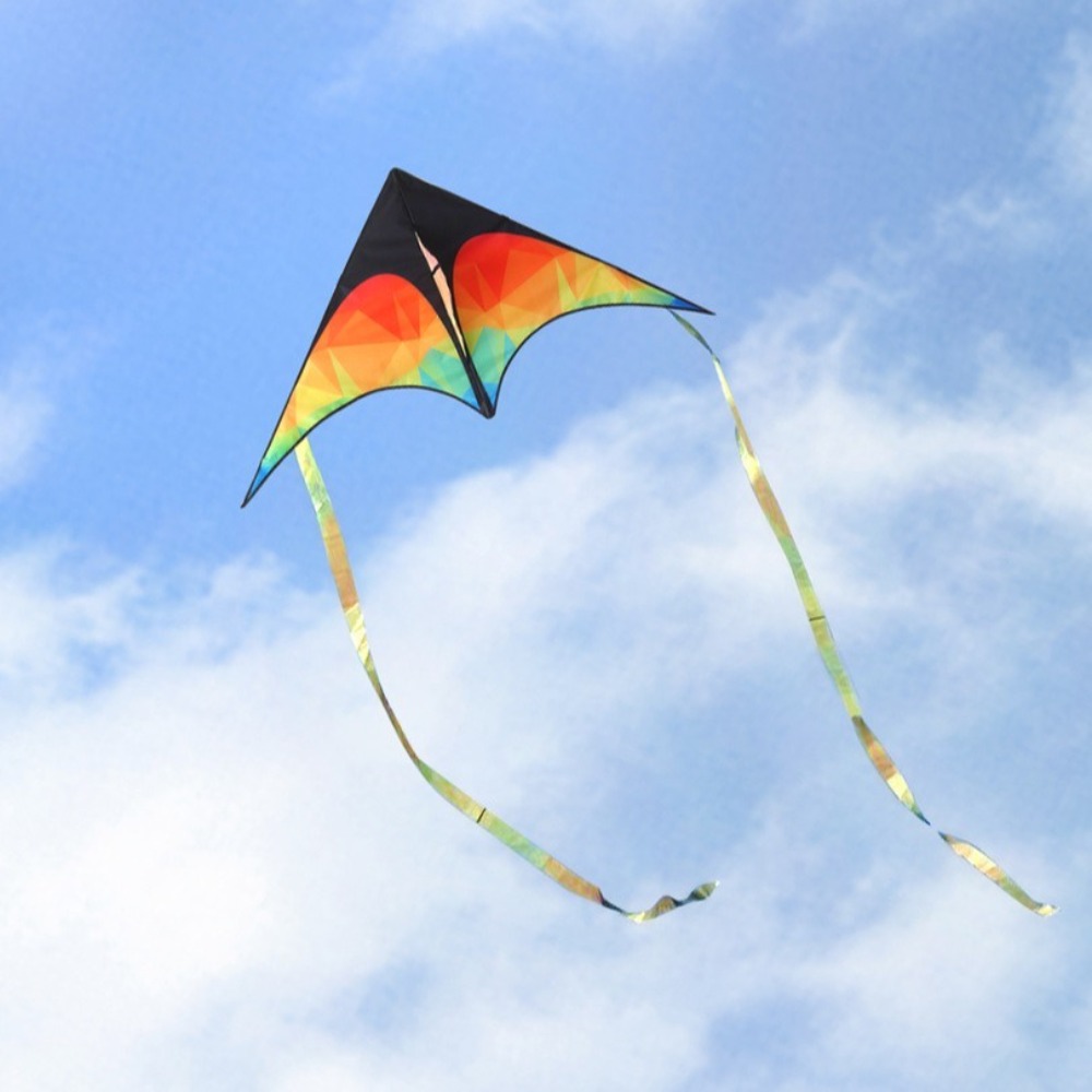 Aquilone Delta grande a doppia - Kite Easy Fly Kids recensione e prezzo