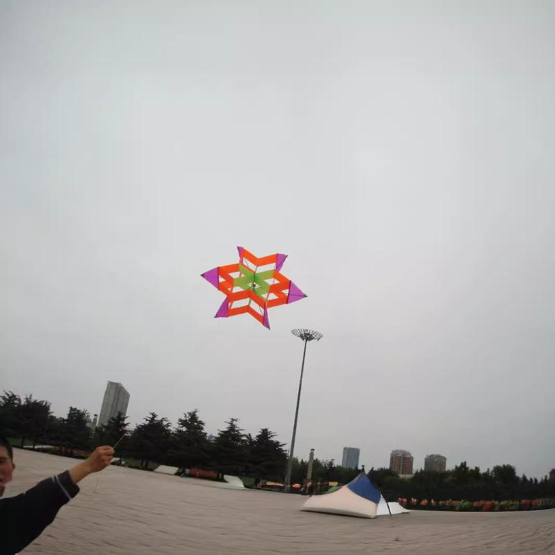 Aquilone 3D stile Plum Blossom - Kite Easy Fly Kids recensione e prezzo